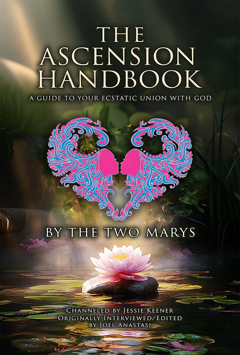 Book cover: The Ascension Handbook (English)