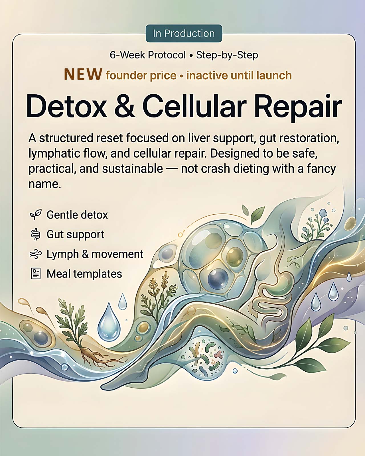 Detox & Cellular Repair course cover